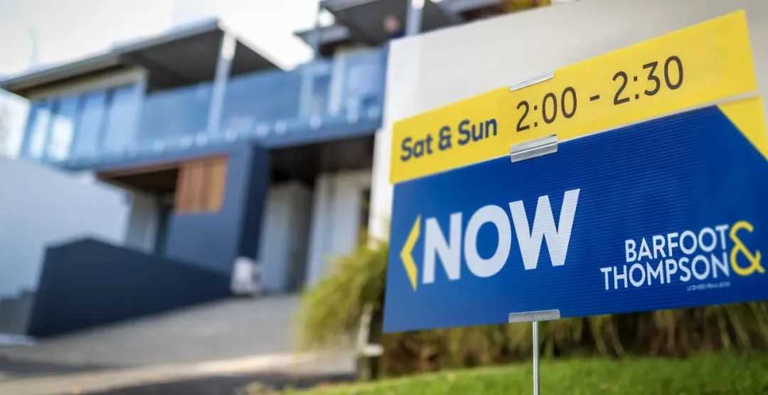 New Zealand's Trade Shows Positive Signs as Real Estate Market Remains Mixed